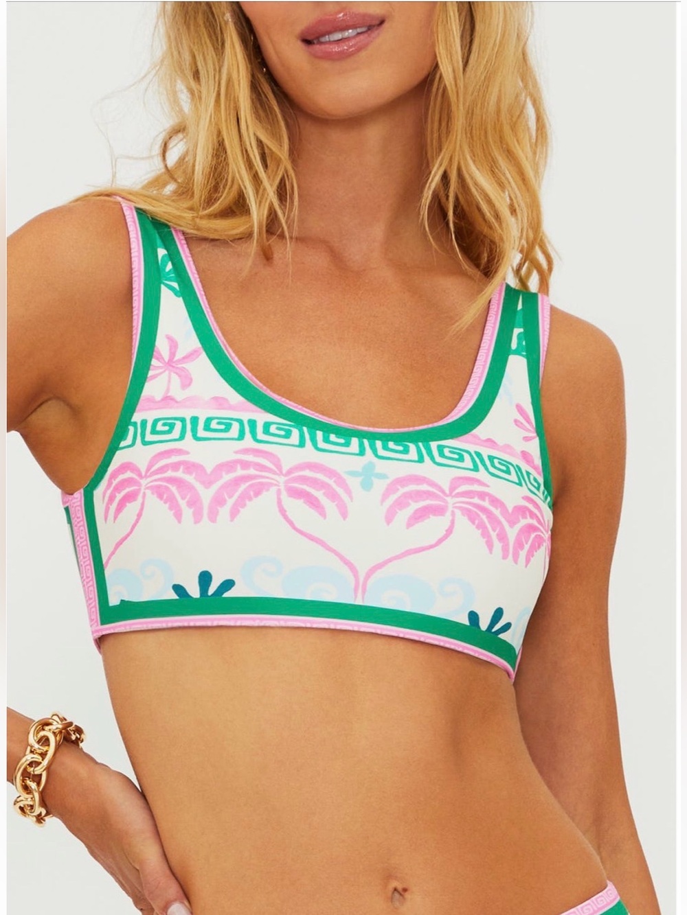 Beach Riot Francis Bikini Top
